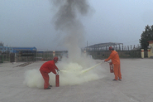 image014.gif