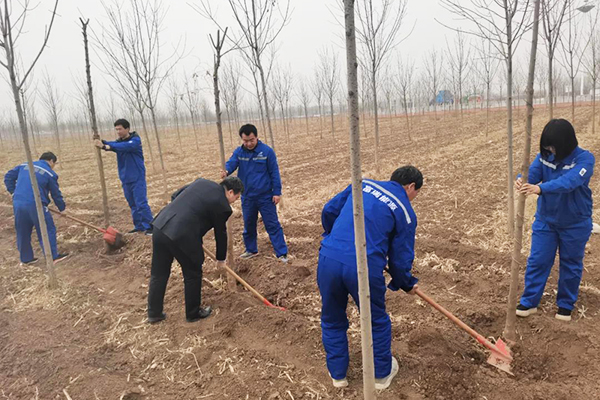 IM体育·(中国区)官方网站 -APP下载